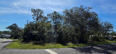 Build your dream home!! Nestled in the desirable Sugarmill Woods on Sugarmill Woods Golf and Country Club in Florida - for sale on GolfHomes.com, golf home, golf lot