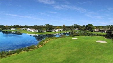 Welcome to your dream retreat at Fairways #4, a meticulously on Country Club At Silver Springs Shores in Florida - for sale on GolfHomes.com, golf home, golf lot