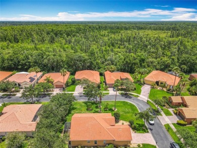 Welcome to this Well Maintained Melody Model in the Terra Vista on Stonegate Golf Club in Florida - for sale on GolfHomes.com, golf home, golf lot