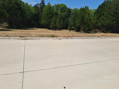 BACKS UP TO GREENBELT!  Don't miss out on the opportunity to on Buffalo Creek Golf Club in Texas - for sale on GolfHomes.com, golf home, golf lot