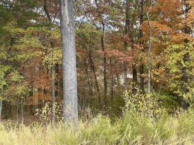 Perfect spot to build your dream home! With almost an acre of on Payne Stewart Golf Club of Branson Hills - Front in Missouri - for sale on GolfHomes.com, golf home, golf lot