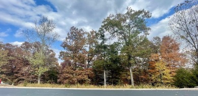 Perfect spot to build your dream home! With almost an acre of on Payne Stewart Golf Club of Branson Hills - Front in Missouri - for sale on GolfHomes.com, golf home, golf lot