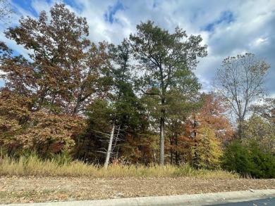 Perfect spot to build your dream home! With almost an acre of on Payne Stewart Golf Club of Branson Hills - Front in Missouri - for sale on GolfHomes.com, golf home, golf lot