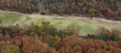 The perfect spot to build your dream home!! Imagine sitting on on Payne Stewart Golf Club of Branson Hills - Front in Missouri - for sale on GolfHomes.com, golf home, golf lot