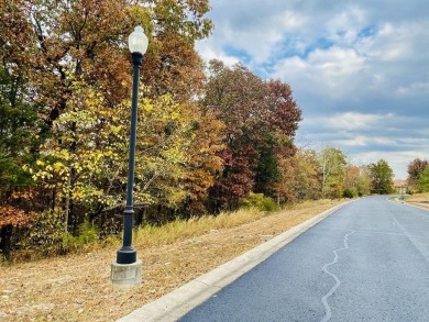 The perfect spot to build your dream home!! Imagine sitting on on Payne Stewart Golf Club of Branson Hills - Front in Missouri - for sale on GolfHomes.com, golf home, golf lot