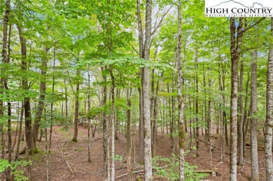 Escape the summer heat and discover your perfect mountain on Beech Mountain Club in North Carolina - for sale on GolfHomes.com, golf home, golf lot