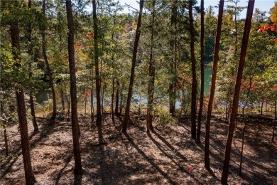 Discover the serene beauty of lakefront living at Old Edwards on The Reserve At Lake Keowee in South Carolina - for sale on GolfHomes.com, golf home, golf lot