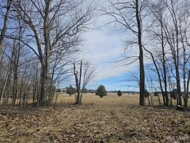 Envision your dream home nestled amidst the serene beauty of the on Garden Golf Course in Michigan - for sale on GolfHomes.com, golf home, golf lot