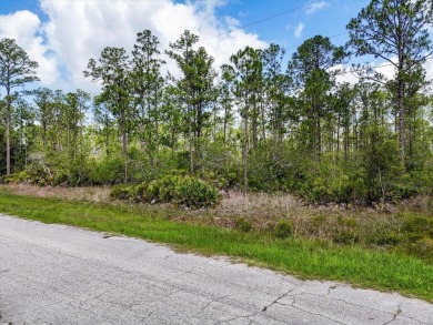 Come Build Your Florida Dream!

Welcome to Lot 61 Meadowlark on Indian Lake Estates Golf and Country Club in Florida - for sale on GolfHomes.com, golf home, golf lot
