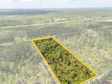 Come Build Your Florida Dream!

Welcome to Lot 61 Meadowlark on Indian Lake Estates Golf and Country Club in Florida - for sale on GolfHomes.com, golf home, golf lot