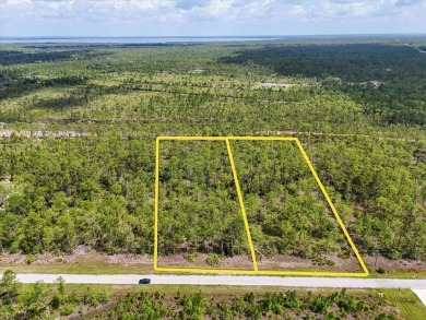 Come Build Your Florida Dream!

Welcome to Lot 61 Meadowlark on Indian Lake Estates Golf and Country Club in Florida - for sale on GolfHomes.com, golf home, golf lot