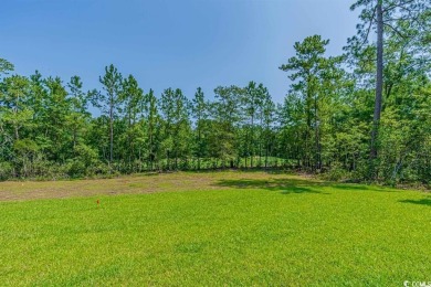 Fantastic Opportunity to Own the Popular Pelican A Floor Plan in on Carolina Shores Golf Course in South Carolina - for sale on GolfHomes.com, golf home, golf lot