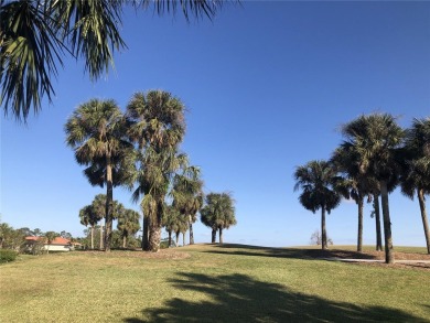 Experience the ideal Florida lifestyle in this impeccable on Venetian Golf and River Club in Florida - for sale on GolfHomes.com, golf home, golf lot