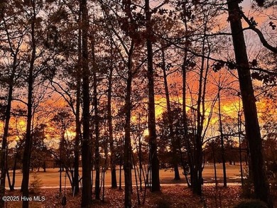 Imagine ending each day w/ golden sunsets spilling across the on Magnolia Greens Golf Plantation in North Carolina - for sale on GolfHomes.com, golf home, golf lot