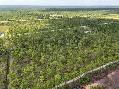 Come Build Your Florida Dream!

Welcome to Lot 62 Meadowlark on Indian Lake Estates Golf and Country Club in Florida - for sale on GolfHomes.com, golf home, golf lot