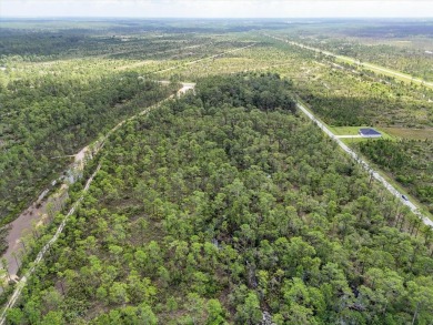Come Build Your Florida Dream!

Welcome to Lot 62 Meadowlark on Indian Lake Estates Golf and Country Club in Florida - for sale on GolfHomes.com, golf home, golf lot