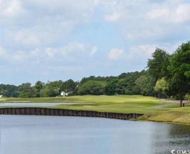 DeBordieu Colony - Come take a look at Lot 18 Luvan in the heart on DeBordieu Country Club in South Carolina - for sale on GolfHomes.com, golf home, golf lot