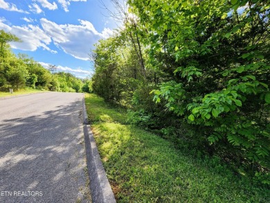 A golf front lot in a lakefront development sounds like a dream on Woodlake Golf Club in Tennessee - for sale on GolfHomes.com, golf home, golf lot