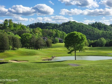 A golf front lot in a lakefront development sounds like a dream on Woodlake Golf Club in Tennessee - for sale on GolfHomes.com, golf home, golf lot