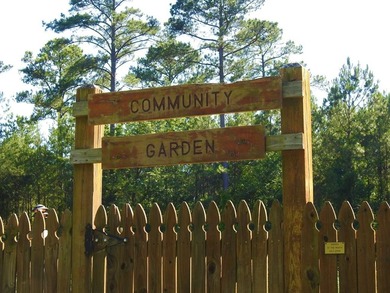 Approximately .49 acre home site in the Monticello section of on Monticello Golf Club At Savannah Lakes in South Carolina - for sale on GolfHomes.com, golf home, golf lot