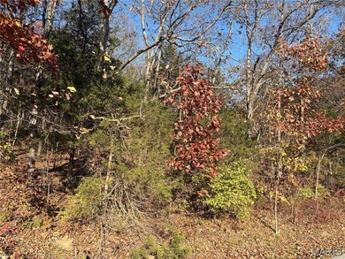 This flat lot near the water offers the perfect opportunity to on Incline Village Golf Course in Missouri - for sale on GolfHomes.com, golf home, golf lot