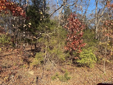 This flat lot near the water offers the perfect opportunity to on Incline Village Golf Course in Missouri - for sale on GolfHomes.com, golf home, golf lot