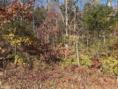 This flat lot near the water offers the perfect opportunity to on Incline Village Golf Course in Missouri - for sale on GolfHomes.com, golf home, golf lot