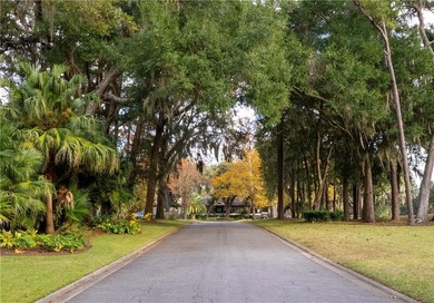 Stunning new construction home in the desirable Hampton on The King and Prince Golf Course, Home of the Hampton Club in Georgia - for sale on GolfHomes.com, golf home, golf lot
