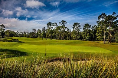 Nestled in the beautiful, highly desirable community of Victoria on Victoria Hills Golf Club in Florida - for sale on GolfHomes.com, golf home, golf lot