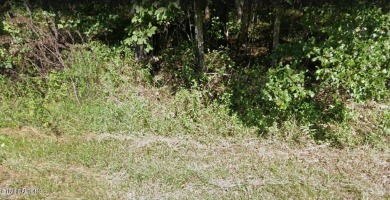 Discover a beautiful wooded lot in Lake Tansi Resort, with on Lake Tansi Village Country Club in Tennessee - for sale on GolfHomes.com, golf home, golf lot