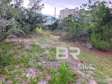 Large Private lot with deeded beach and bay access.  Parking is on Kiva Dunes Golf Club in Alabama - for sale on GolfHomes.com, golf home, golf lot