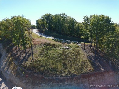 Welcome to Lot 20 at The Waters Subdivision! This lot boasts on Seasons Ridge At Four Seasons in Missouri - for sale on GolfHomes.com, golf home, golf lot