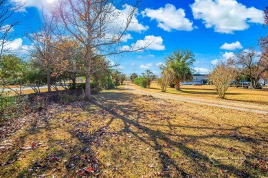 Enjoy this 3-bedroom 2 bath home with NO HOA, nestled in Little on Eagle Nest Golf Club in South Carolina - for sale on GolfHomes.com, golf home, golf lot