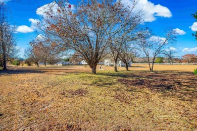 Enjoy this 3-bedroom 2 bath home with NO HOA, nestled in Little on Eagle Nest Golf Club in South Carolina - for sale on GolfHomes.com, golf home, golf lot