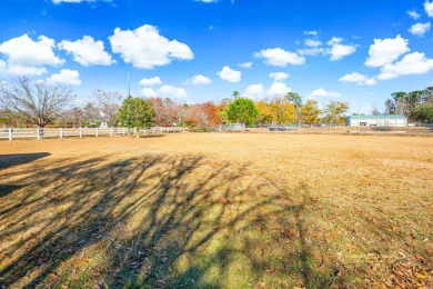 Enjoy this 3-bedroom 2 bath home with NO HOA, nestled in Little on Eagle Nest Golf Club in South Carolina - for sale on GolfHomes.com, golf home, golf lot