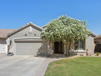 Beautiful single-level home with no interior steps features 3 on The Golf Club At Johnson Ranch in Arizona - for sale on GolfHomes.com, golf home, golf lot