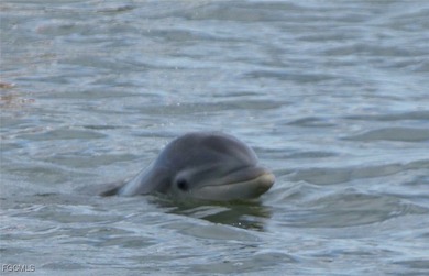 * Must see* WONDERFUL buying or investment opportunity * Unique on The Landings Yacht, Golf and Tennis Club in Florida - for sale on GolfHomes.com, golf home, golf lot