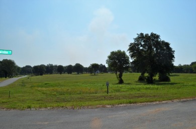 Beautiful sunsets and open water views from this corner lot on Cedar Creek Country Club in Texas - for sale on GolfHomes.com, golf home, golf lot