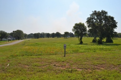 Beautiful sunsets and open water views from this corner lot on Cedar Creek Country Club in Texas - for sale on GolfHomes.com, golf home, golf lot