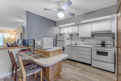 Discover the charm of this amazing studio condo nestled in the on PalmBrook Country Club in Arizona - for sale on GolfHomes.com, golf home, golf lot