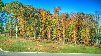 Come discover the unparalleled charm of the Tennessee National on Tennessee National Golf Club in Tennessee - for sale on GolfHomes.com, golf home, golf lot