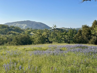 Located in the coveted Touche Pass area of the Preserve just on The Preserve Golf Club in California - for sale on GolfHomes.com, golf home, golf lot