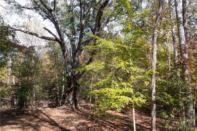 Discover the serene beauty of lakefront living at The Reserve at on The Reserve At Lake Keowee in South Carolina - for sale on GolfHomes.com, golf home, golf lot