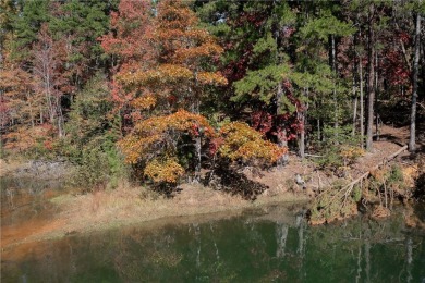 Discover the serene beauty of lakefront living at The Reserve at on The Reserve At Lake Keowee in South Carolina - for sale on GolfHomes.com, golf home, golf lot