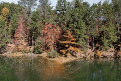 Discover the serene beauty of lakefront living at The Reserve at on The Reserve At Lake Keowee in South Carolina - for sale on GolfHomes.com, golf home, golf lot