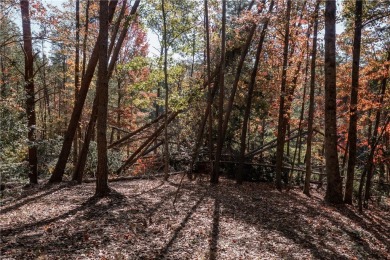 Discover the serene beauty of lakefront living at The Reserve at on The Reserve At Lake Keowee in South Carolina - for sale on GolfHomes.com, golf home, golf lot