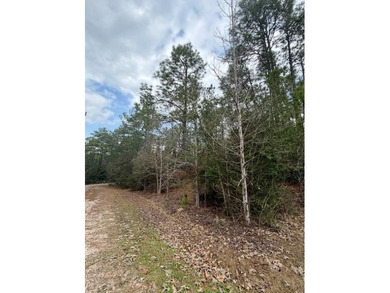 Build your dream home on this 0.46-acre lot in the rapidly on Rayburn Country Club in Texas - for sale on GolfHomes.com, golf home, golf lot