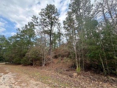 Build your dream home on this 0.46-acre lot in the rapidly on Rayburn Country Club in Texas - for sale on GolfHomes.com, golf home, golf lot