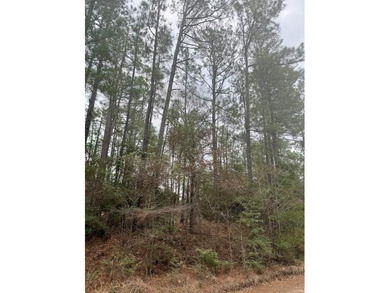 Build your dream home on this 0.46-acre lot in the rapidly on Rayburn Country Club in Texas - for sale on GolfHomes.com, golf home, golf lot