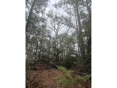 Build your dream home on this 0.46-acre lot in the rapidly on Rayburn Country Club in Texas - for sale on GolfHomes.com, golf home, golf lot